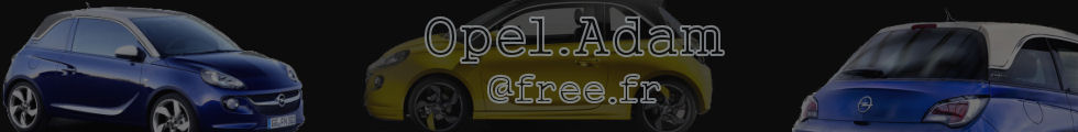 Bannire d'accueil du site http://opel.adam.free.fr/, consacr  la Nissan JUke